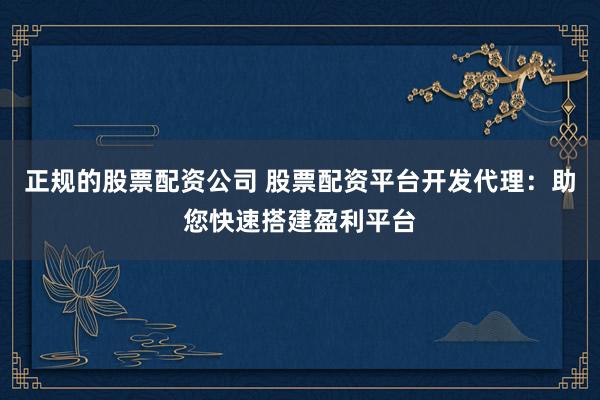 正规的股票配资公司 股票配资平台开发代理：助您快速搭建盈利平台