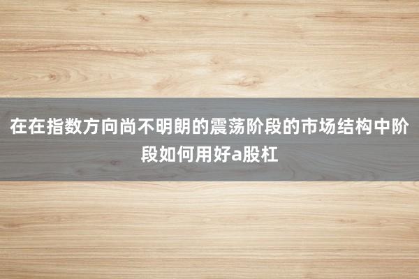 在在指数方向尚不明朗的震荡阶段的市场结构中阶段如何用好a股杠