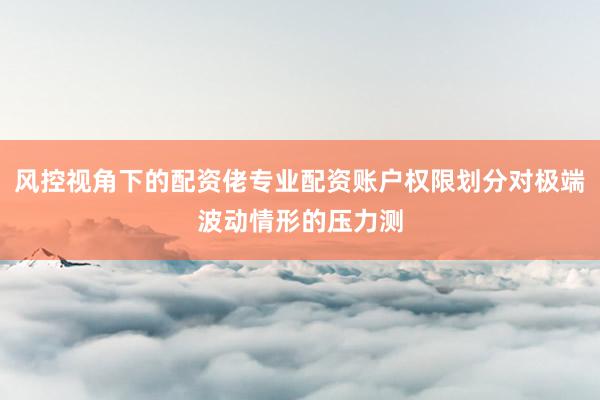风控视角下的配资佬专业配资账户权限划分对极端波动情形的压力测