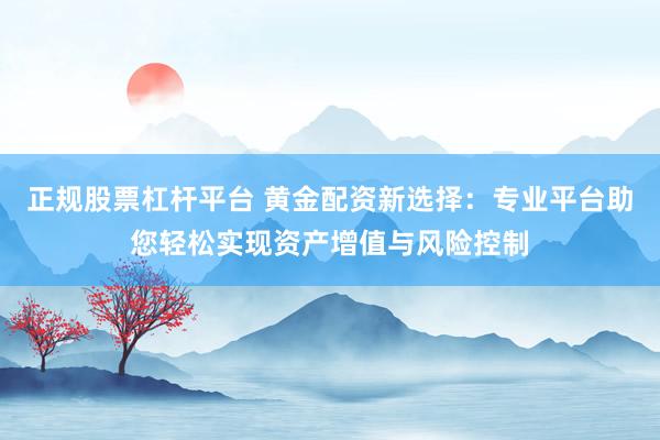 正规股票杠杆平台 黄金配资新选择：专业平台助您轻松实现资产增值与风险控制
