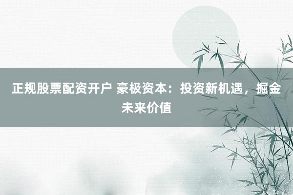 正规股票配资开户 豪极资本：投资新机遇，掘金未来价值