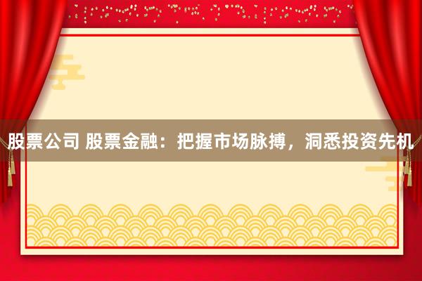 股票公司 股票金融:把握市场脉搏,洞悉投资先机